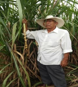Fotografía de campo del informe original de Nano-Gro