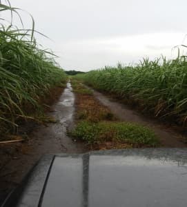 Fotografía de campo del informe original de Nano-Gro