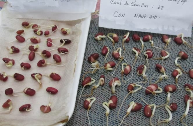 Fotografía de campo del informe original de Nano-Gro