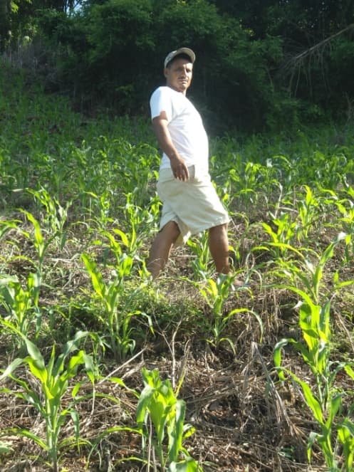 Fotografía de campo del informe original de Nano-Gro
