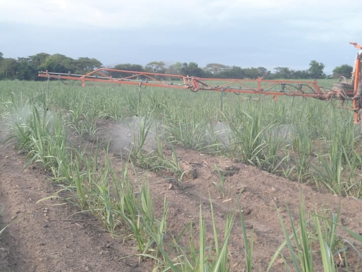 Fotografía de campo del informe original de Nano-Gro
