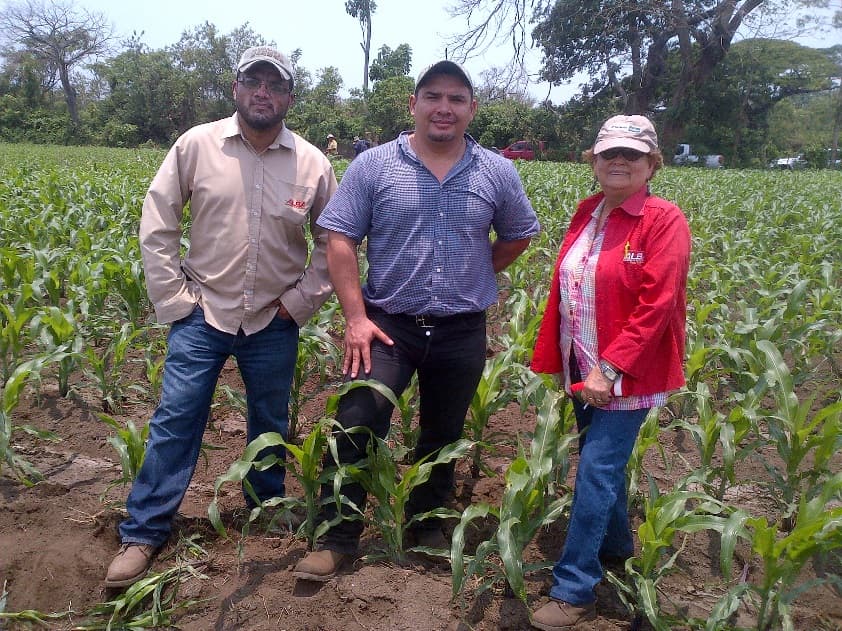 Fotografía de campo del informe original de Nano-Gro