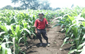 Fotografía de campo del informe original de Nano-Gro