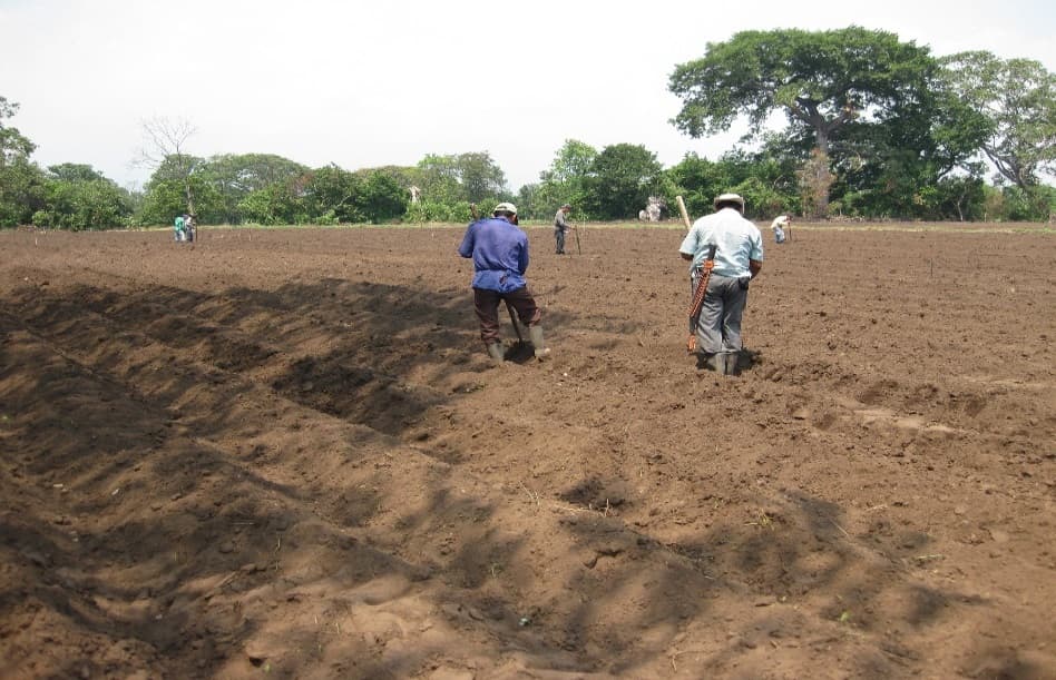 Fotografía de campo del informe original de Nano-Gro
